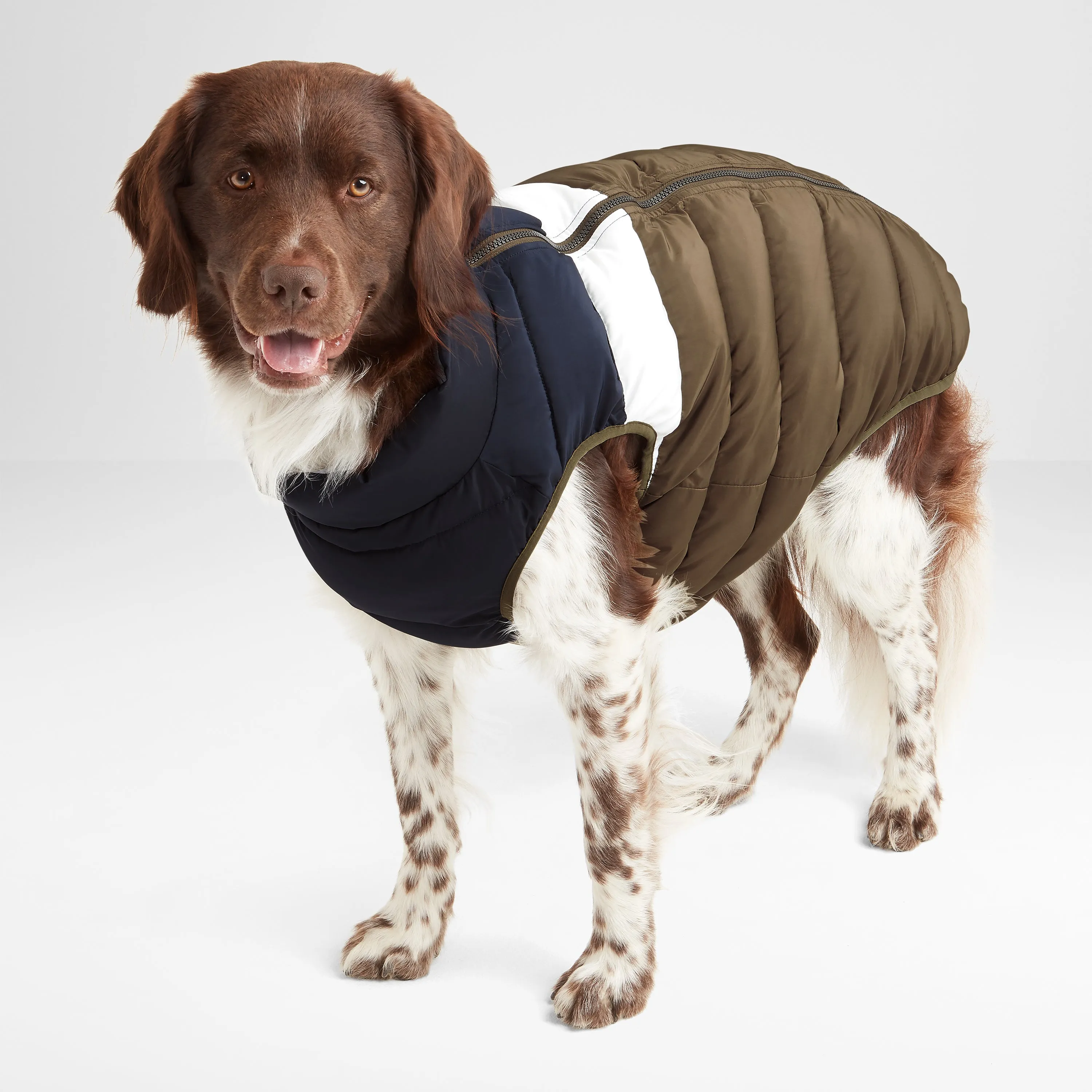 Fetch Padded Dog Coat XL - Khaki/Dark Indigo/Optic White