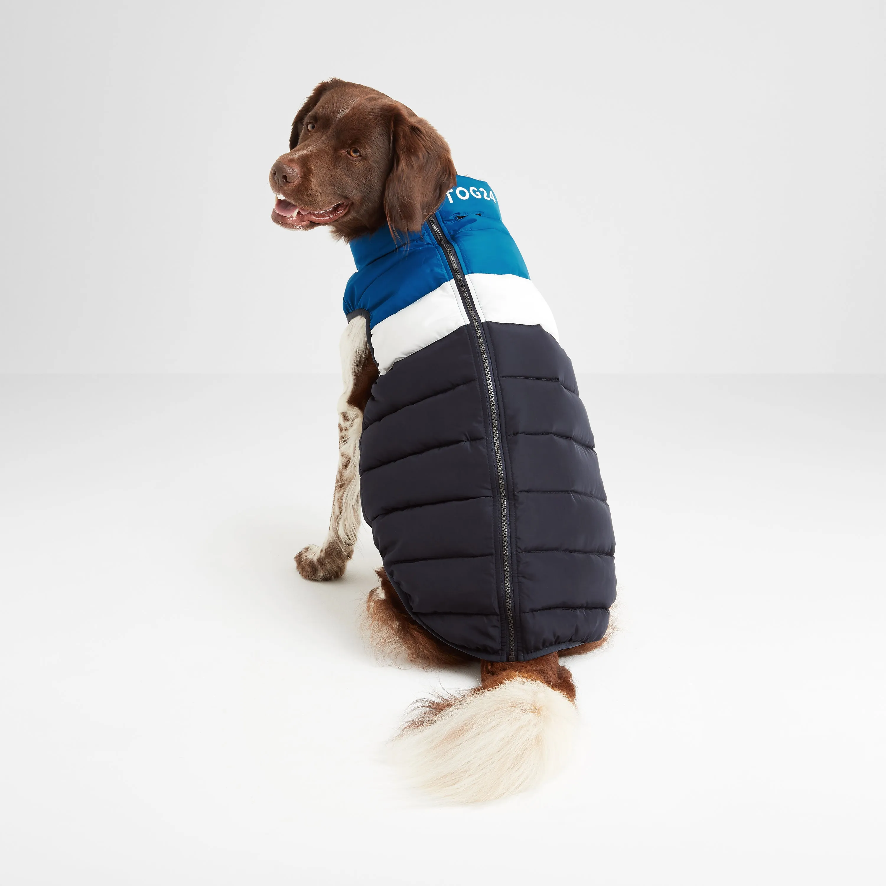 Fetch Padded Dog Coat XS - Peacock Blue/Dark Indigo/Optic White